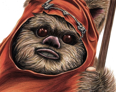 Wicket Drawing