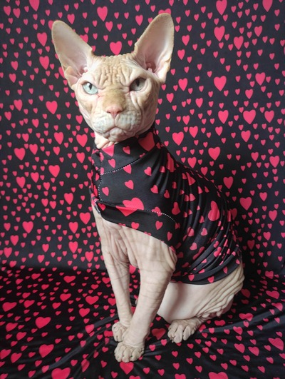 Heart Ons - Sleepwear