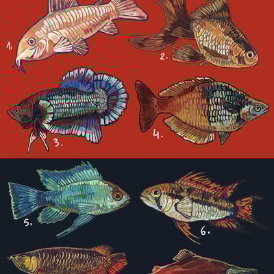 Fish sticker sheets