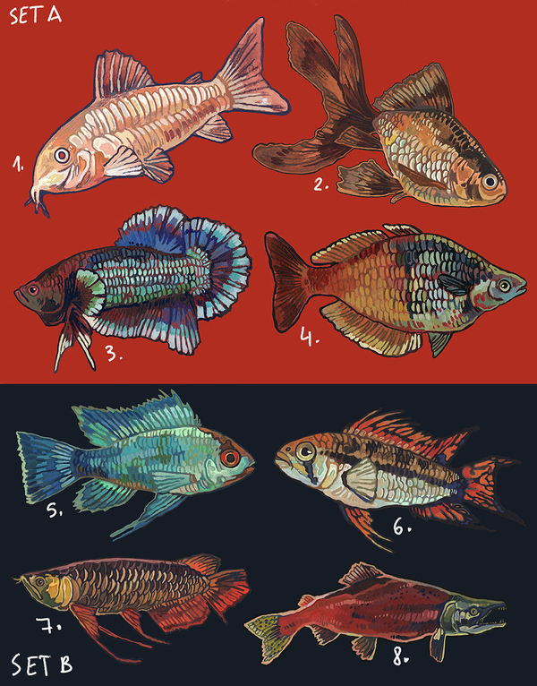 Fish sticker sheets