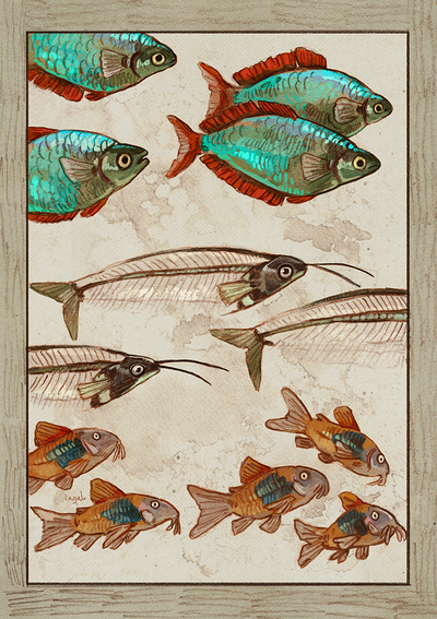 Fish print A5 2023