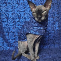 Mystic Roses - Thumbnail 2