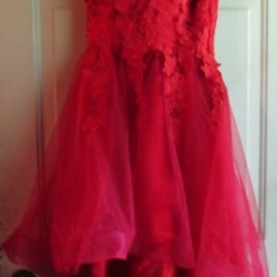 Red party dress