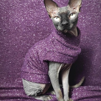 Bordeaux tinsel sweaterknit