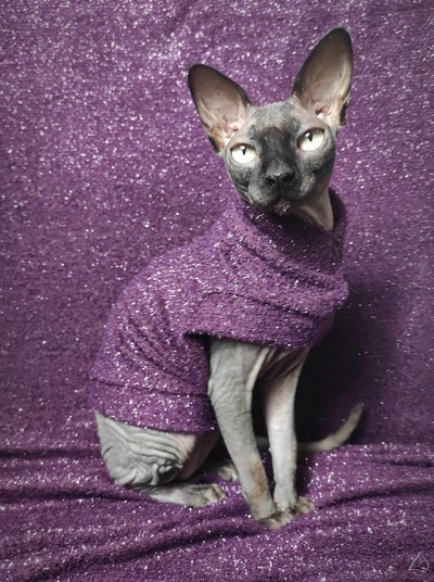 Bordeaux Tinsel Sweaterknit