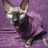 Bordeaux Tinsel Sweaterknit - Thumbnail 1