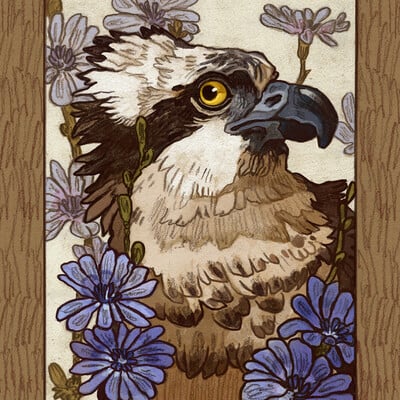 Osprey print