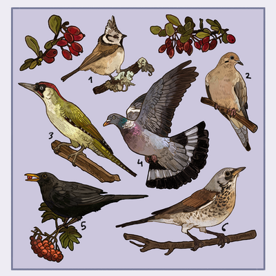 Bird sticker sheet