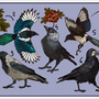 Corvid sticker sheet-1