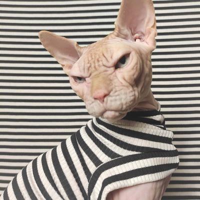 Incarcerated - ribbed for her pleasure 