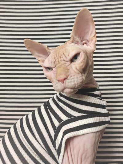 Incarcerated - Ribbed For Her Pleasure 