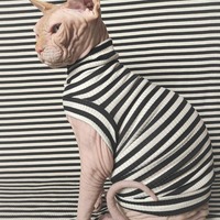 Incarcerated - Ribbed For Her Pleasure  - Thumbnail 1