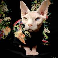 Out Of The Darkness - Thumbnail 1