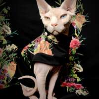 Out Of The Darkness - Thumbnail 2