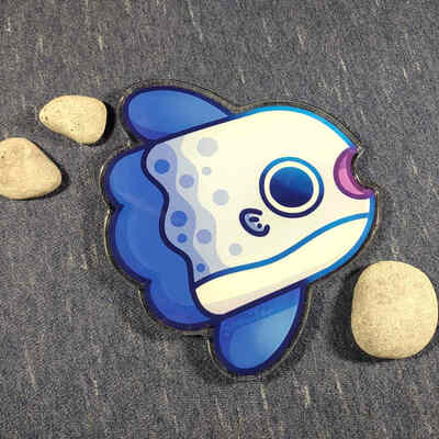 Mola coaster