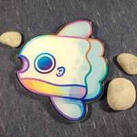 Mola Coaster - Thumbnail 1