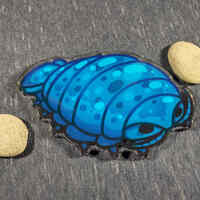 Giant Isopod Coaster - Thumbnail 2