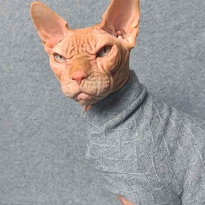 Blue steel sweaterknit