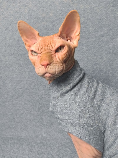 Blue Steel Sweaterknit