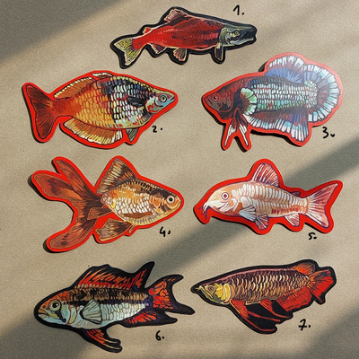  fish magnets