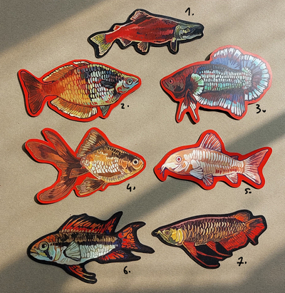  Fish magnets