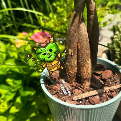 Korok planter