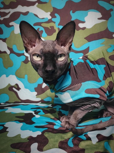 Swiss Camo - Sleepwear