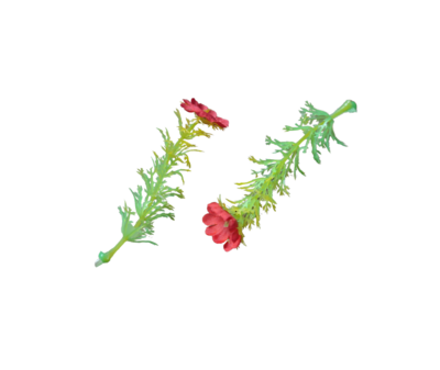 10pcs. Flower Stems for Fashion Dolls