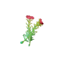 10pcs. Flower Stems for Fashion Dolls - Thumbnail 1