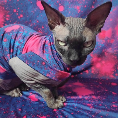 Intergalactic - sleepwear - Thumbnail 2