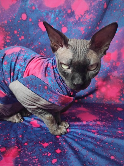 Intergalactic - Sleepwear