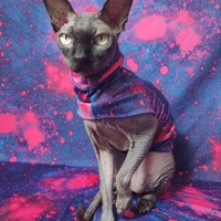 Intergalactic - Sleepwear - Thumbnail 1