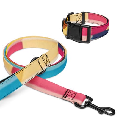 Pink multicolor collar & leash by ngc