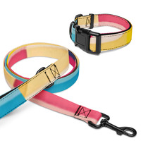 Pink Multicolor collar & leash by NGC - Thumbnail 1