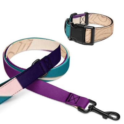 Purple Multicolor Pet collar & leash by NGC