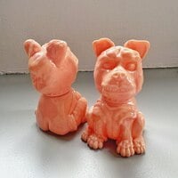 BEST FRIEND Tangerine Blank - Thumbnail 2