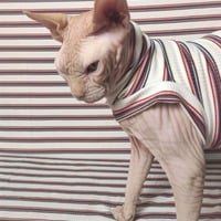 Summer Sangria - Ribbed For Her Pleasure  - Thumbnail 2