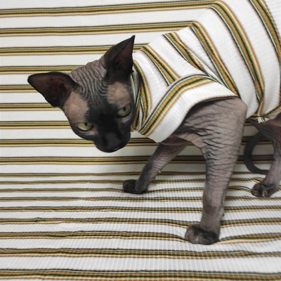 Summer honeydew - ribbed for her pleasure 