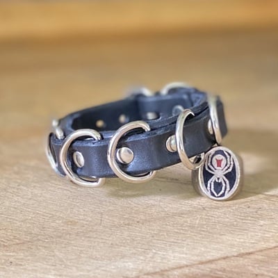 3/4” d-rings wristband