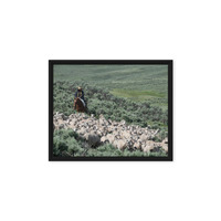 Sheep herder in Kemmerer, Wyoming - Thumbnail 1