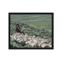Sheep herder in Kemmerer, Wyoming - Thumbnail 7