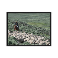 Sheep herder in Kemmerer, Wyoming - Thumbnail 8