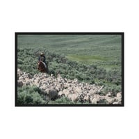 Sheep herder in Kemmerer, Wyoming - Thumbnail 10
