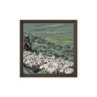 Sheep herder in Kemmerer, Wyoming - Thumbnail 16