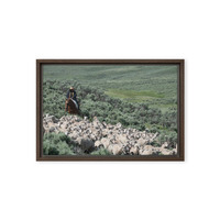 Sheep herder in Kemmerer, Wyoming - Thumbnail 18