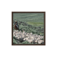 Sheep herder in Kemmerer, Wyoming - Thumbnail 19