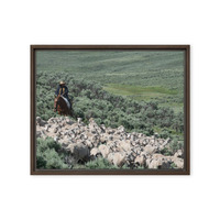 Sheep herder in Kemmerer, Wyoming - Thumbnail 20