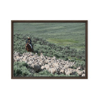 Sheep herder in Kemmerer, Wyoming - Thumbnail 24