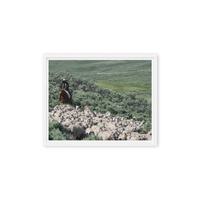 Sheep herder in Kemmerer, Wyoming - Thumbnail 28