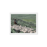 Sheep herder in Kemmerer, Wyoming - Thumbnail 30
